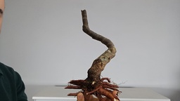 T 7. Tamarix 120 euros con envio gratis peninsula.