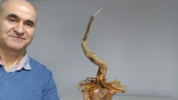 G 26. Granado nejikan 200 euros con envio gratis peninsula.